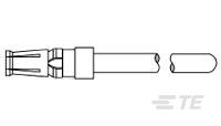 445798-1
